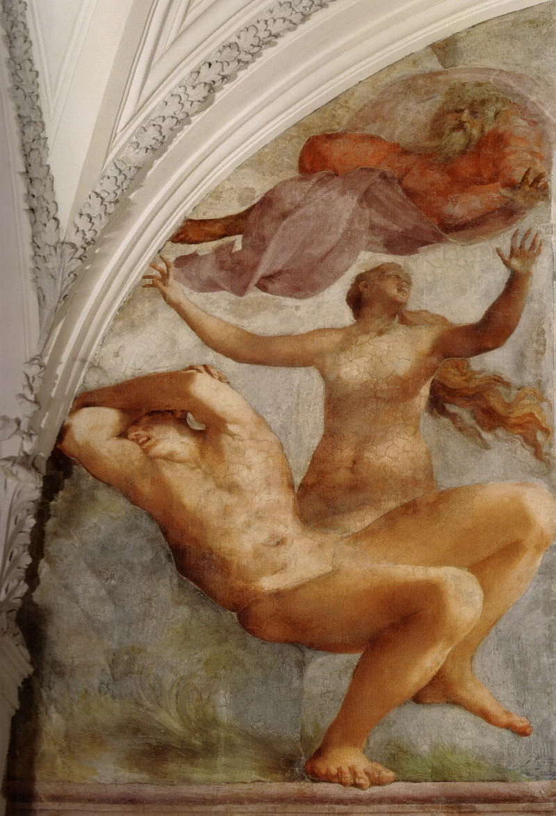 Creazione di Eva - Cappella cesi. chiesa di Santa Maria della Pace, Roma
